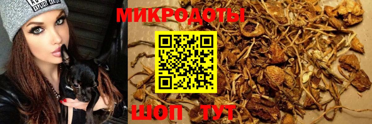 Псилоцибиновые грибы GOLDEN TEACHER Абакан