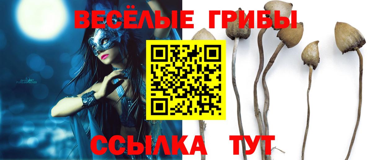 Псилоцибиновые грибы ЛСД  Вход с VPN  Абакан 