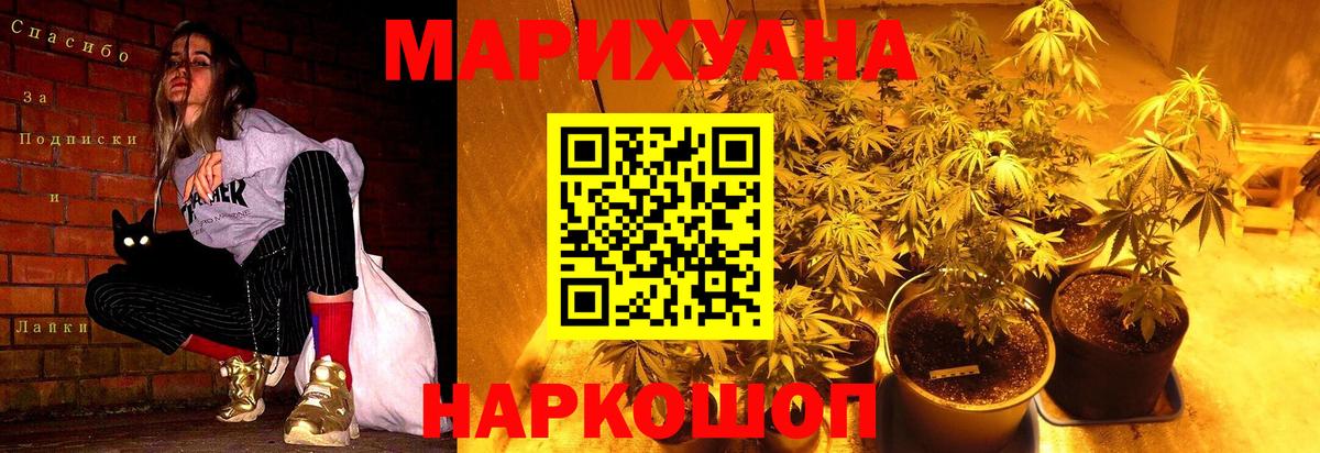 Бошки Шишки тримм Абакан